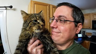 I'M A PROUD CAT DAD by David Di Franco 4,232 views 2 weeks ago 46 minutes