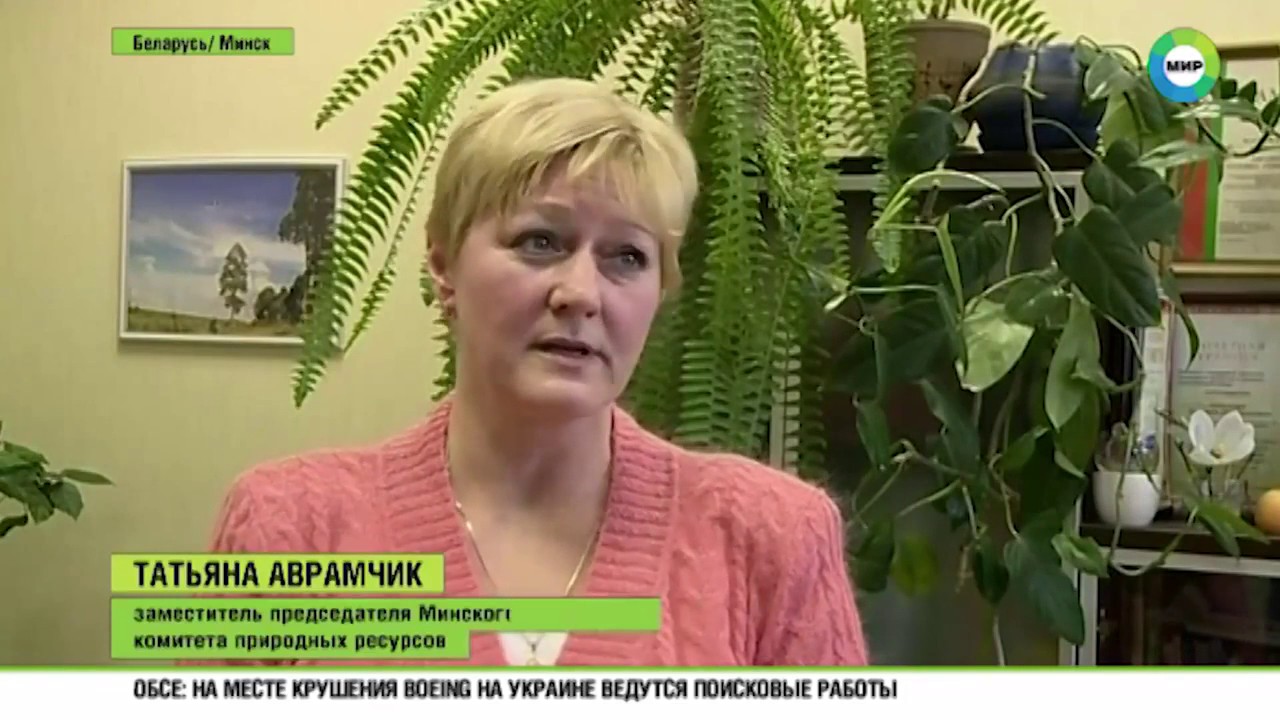 Переработка машинного масла