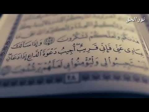 قريب مجيب مقطع رائع الشيخ خالد الراشد 