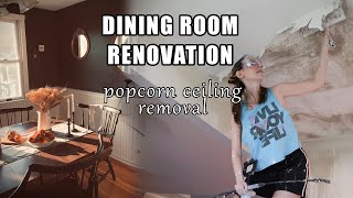 Starting the Dining Room Renovations! Removing Popcorn Ceiling, Removing Flooring, Demo Drywall