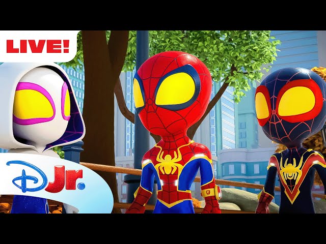 🔴 LIVE! 24 HOURS Marvel's Spidey and His Amazing Friends w/ NEW