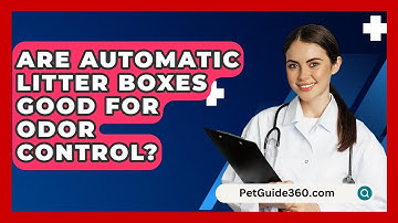 Are Automatic Litter Boxes Good For Odor Control? - PetGuide360.com