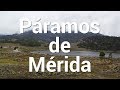 Páramos de Mérida | Tierra de Gracia