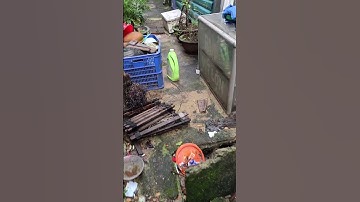 Dịch Vụ Thông Cống – Thông Cầu Tại Đà Nẵng | Xử Lý Nghẹt Nhanh – Uy Tín – 24/7” #suanuocdanang