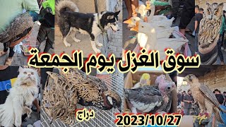 سوق الغزل لبيع وشراء الحيوانات في بغداد اليوم الجمعة 2023/10/27