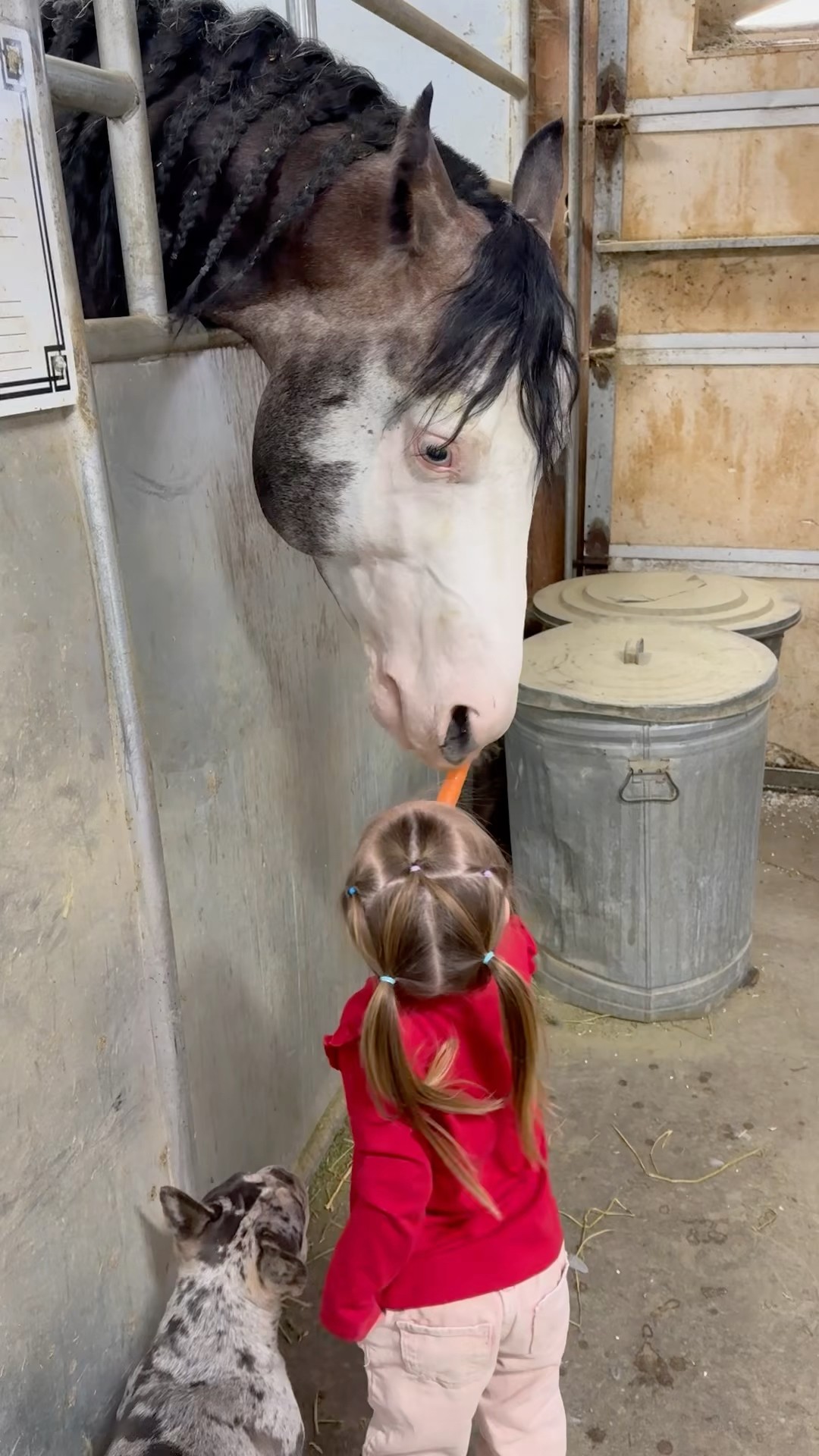 Last Run -Our treasures- Gacchan sang in Japanese - YouTube