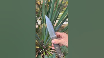 Watch Carleigh Forage Some Yucca Cordage Part 1