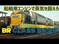 [迷列車で行こう]紳士のエンジンと共に | BR class55,23 デルティック