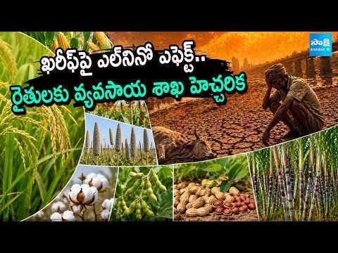 తక్కువ నీటి పంటలే మేలు! | Agriculture Department Director Gopi Warns El Niño Impact Kharif Season - SAKSHITV