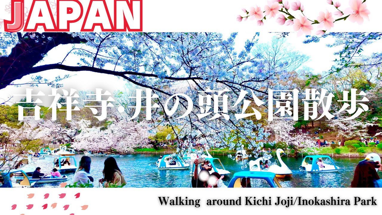 4K【東京散歩】吉祥寺・井の頭公園散歩|Tokyo Walk around Kichi joji/Inokashira Park 【#dji osmo pocket3】