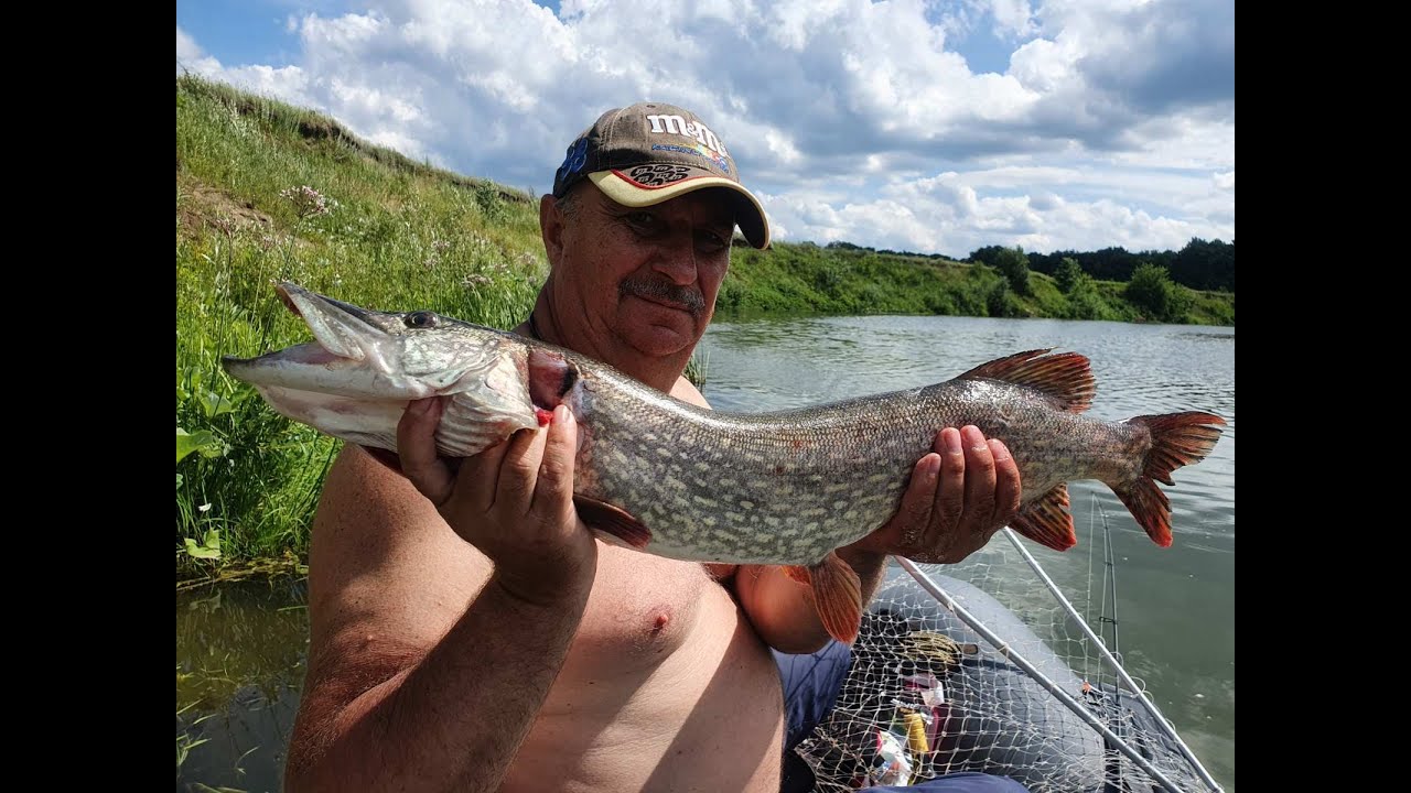 Рыбалка на Мокше. КРОКОДИЛ ПЫТАЛСЯ СБЕЖАТЬ!!! - YouTube