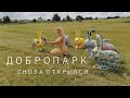 "Добропарк" под Киевом открылся снова. Чем заменили поля тюльпанов? | "Доброфест"