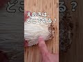 「えのき」の石づき、どこまで切るが正解？「ひょっとして捨ててるかも？」