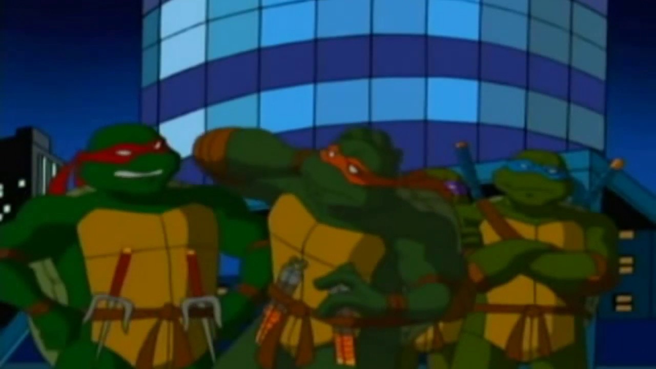 TMNT 2003 Bio Ninja Turtles