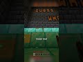 ❓Guess Who? Minecraft Mini-Games❓