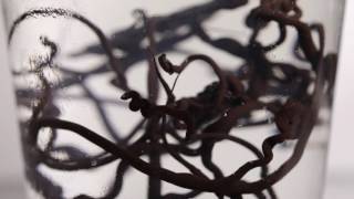 İlham Veren Teknikler - Çikolata Dekor Tekniği