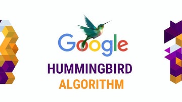 What is Google Hummingbird Algorithm? | Explained by Rajni Prasanna Rahul Kashyap
