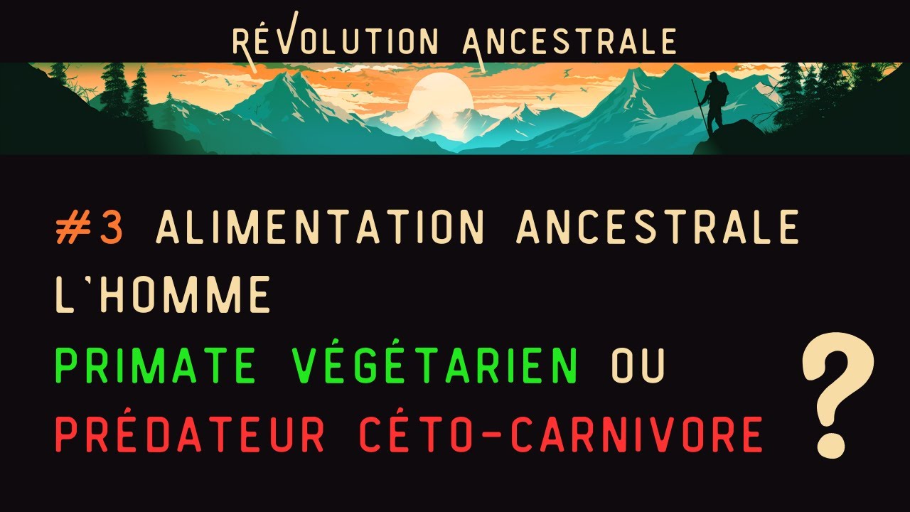 Alimentation ancestrale P1 - L'homme, primate végétarien ou prédateur