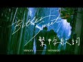 [繁中字歌詞] MINGYU X WONWOO (feat. LeeHi) - Bittersweet