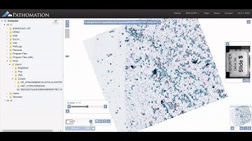 How to look at z-stack whole slide images with PMA.start?