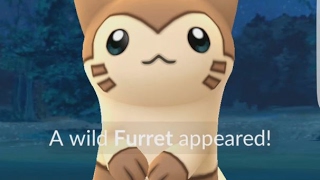 A Wild Furret Has Appeared! Pokemon GO Generation 2 Spawning Now! screenshot 5