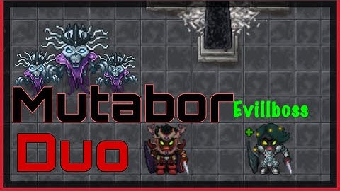 TibiaMe W23: Duo Mutabor with Evillboss
