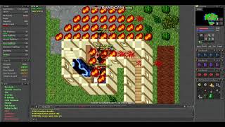 Old Tibia 7.4 - Pelego RLS