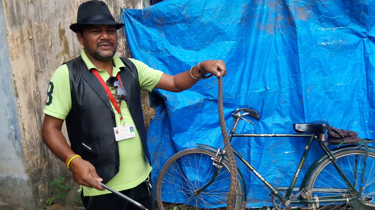  Snake rescue team Panchet dam