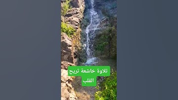 قرأن كريم تلاوة خاشعة تريح النفس #عبدالعزيز_سحيم #سورة_يوسف #اكسبلور #elmulquranعلم #تلاوات_خاشعة