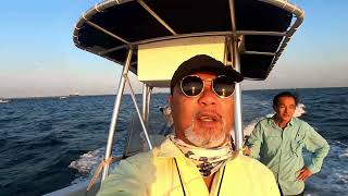 LOTS of Mangrove Snapper in Galveston, Texas (Sept 11th, 2022)