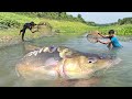 Amazing Fish Hunting By Polo In River | Fishing Video