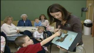 Doodle Bugs At The Virginia Museum Of Natural History