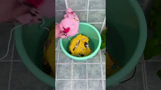 Turbo Spin Mini Travel Laundry Washer 1️⃣