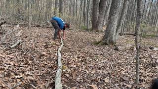 How to Build a 30ft Electroculture Antenna (Step-by-Step DIY Tutorial)