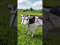 Vaca Origami rumiando en Pastos #vaca #sonido #campo #origami #papercraft #artedigital