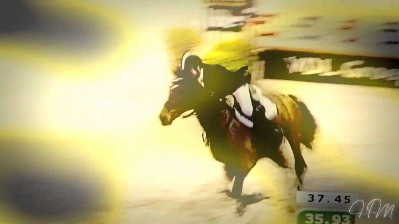 Horses All of the lights YouTube