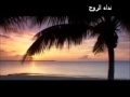 اصالة اعتذار Wmv 