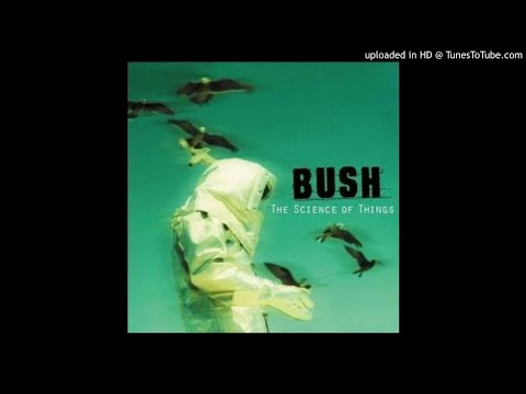 Bush - Warm Machine