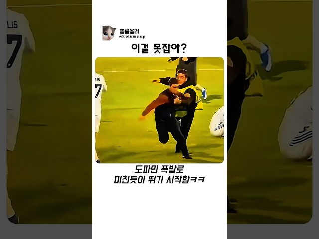 관중이 더 쫄깃한 상황 ㅋㅋ