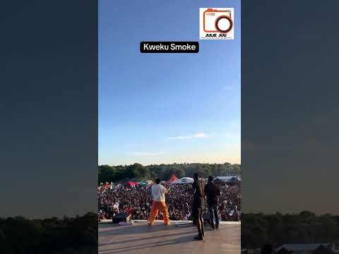 GHANA PARTY IN THE PARK 