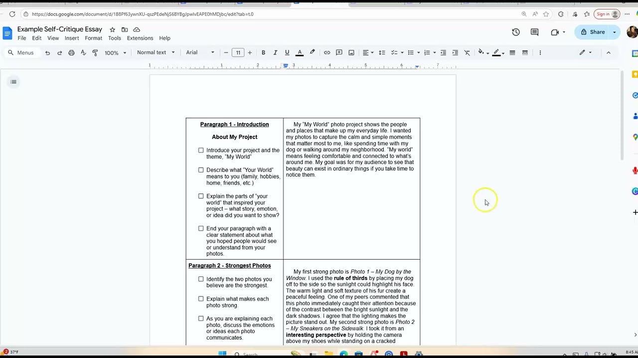 Self-Critique Instructions