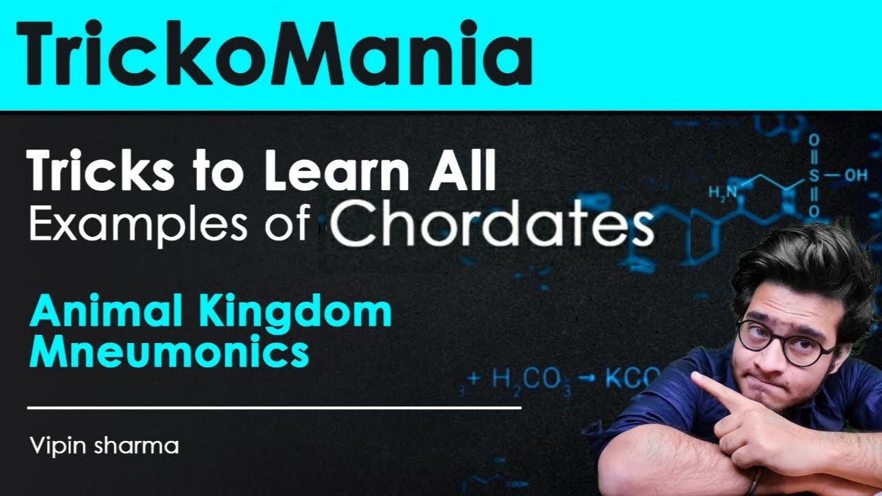Tricks to Learn Animal Kingdom Examples | Learn All Chordates Examples 