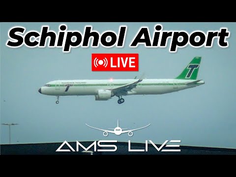 LIVE: Transavia Retro A321neo Delivery at Schiphol! | HV1965 Lands Today | Plane Spotting