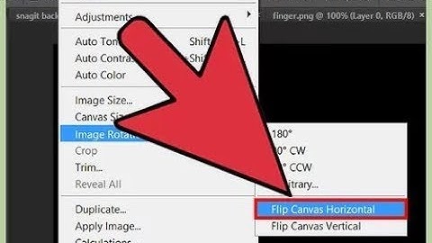 How to make a flip canvas button in photoshop hotkey How To Draw Tutorial