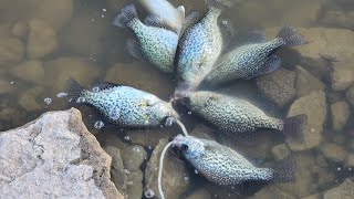 Nice Crappie and BIG BASS!🔥🔥🔥