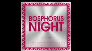 Dj Suat Ateşdağlı - Havada Aşk Kokusu - Bosphorus Night Album