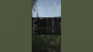 The BEST Graphic Settings for Sons of the Forest!