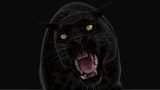 Black Panther Animal 3D Model – Fully Rigged & Animated | PROmax3D screenshot 4