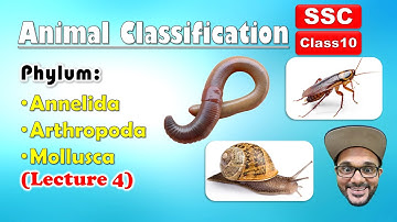 Animal Classification Lecture 4 | Annelida, Arthropoda, Mollusca | Class 10 | SSC | state board