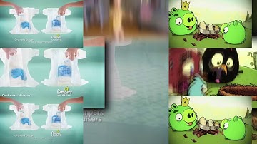 38 Shuric Scans with are slides (Jayden Alternate